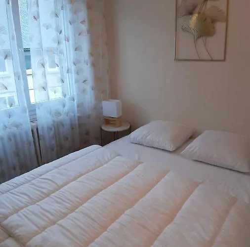 Maison 6-9 Pers Pour Et Cure Thermale Σπίτι διακοπών Le Mont-Dore