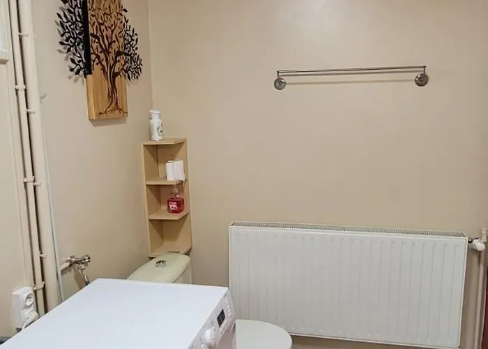 Maison 6-9 Pers Pour Et Cure Thermale Σπίτι διακοπών Le Mont-Dore